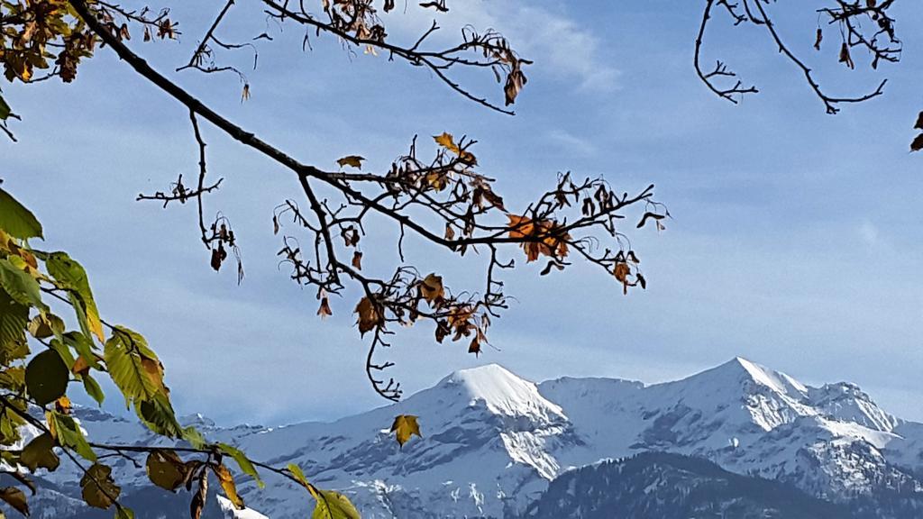 Ferienwohnung Oase zum SEIN Spiez Exterior foto